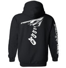 Dropping F Bombs B2 Bomber