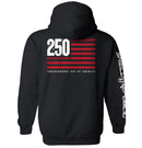 America 250 Years Anniversary Flag