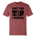 Just The Tip I Promise Flag (Front Print)
