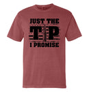 Just The Tip I Promise Flag (Front Print)