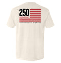 America 250 Years Anniversary Flag