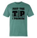 Just The Tip I Promise Flag (Front Print)