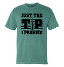 Just The Tip I Promise Flag (Front Print)