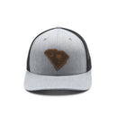 SC State Flag Leather Patch Hat