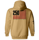 America 250 Years Anniversary Flag