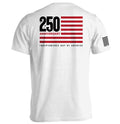 America 250 Years Anniversary Flag