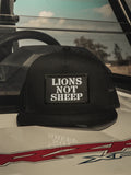 Lions not sheep hat