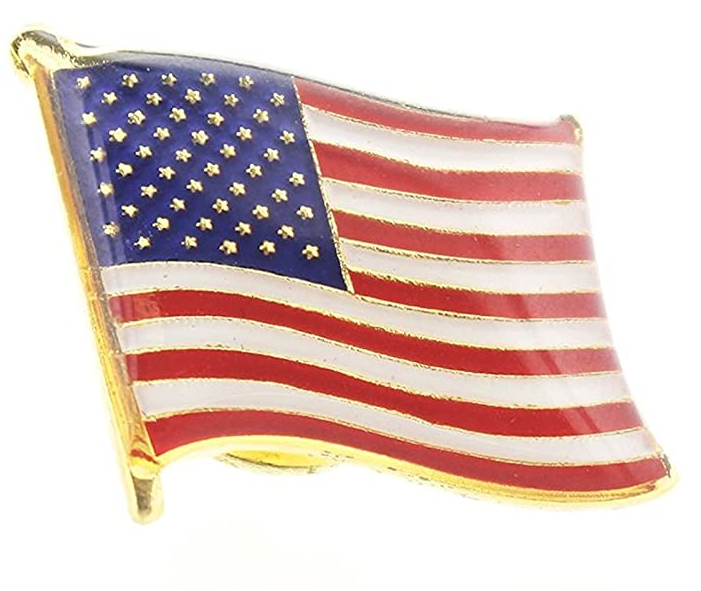 USA Flag Pin